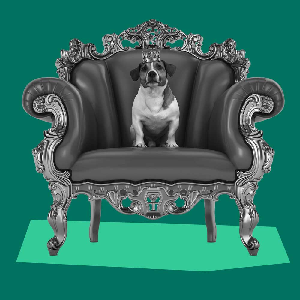 Mr Mortgages